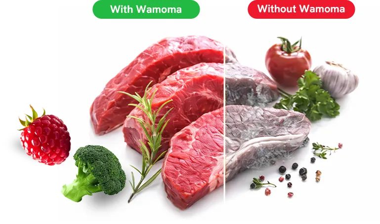 Comparison between vacuum sealed and non-vacuum sealed food freshness